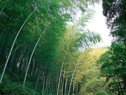 信阳固始西九华山拓展基地